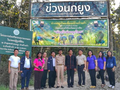 ข่วงนกยูง 6-9